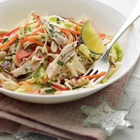 Vietnamese Turkey Salad with Mint and Chilli Dressing