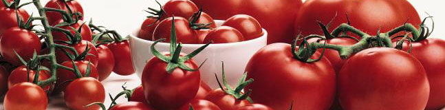 Tomato products