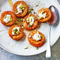 Diana Henry's baked apricots with curd, pistachios & honey