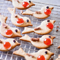 Mixed spice Christmas robin biscuits
