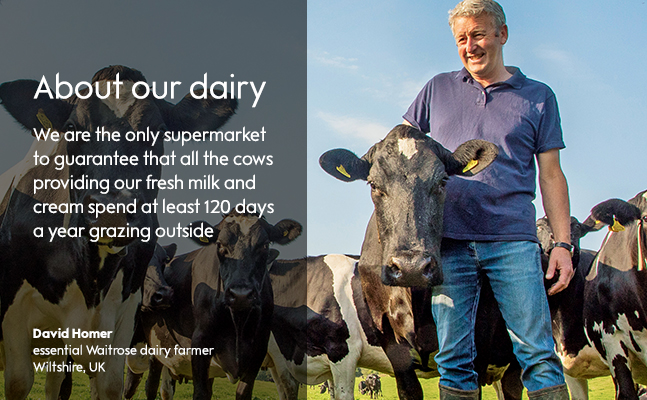 About our milk and dairy 