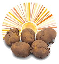 Waitrose Jersey Royal new potatoes 