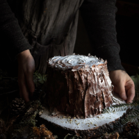 Aimee Twigger's Tree Trunk Cake