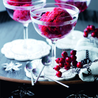 Christmas sorbet with cranberries