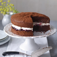 Chocolate cinnamon cake with damson cream filling