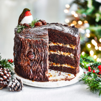 Chocolate, caramel and chestnut yule log cake