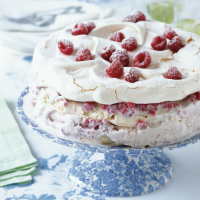 Iced meringue gateau with raspberries and cassis