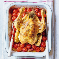 Roast chicken on a bed of tomatoes