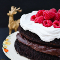 Rich mocha vegan chocolate cake