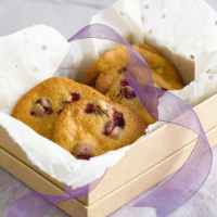 Wheat-free cookies with white chocolate and cranberries