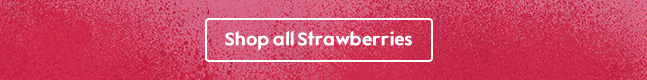 Shop all Strawberries