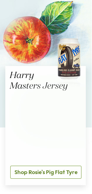 Harry Masters Jersey