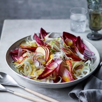 Chicory, apple and fennel salad