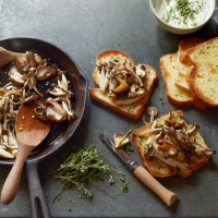 Mushrooms on toast with goat's cheese
