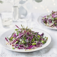 Red-cabbage-salad-with-nori-ginger