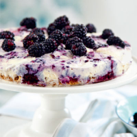 Blackberry ice-cream cake