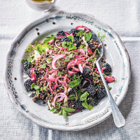 Blackberry, fennel, lentil & mint salad