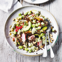 Broad bean, Puy lentil & radish salad with mint, avocado & yogurt dressing