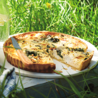 Spinach, pine nut and ricotta tart