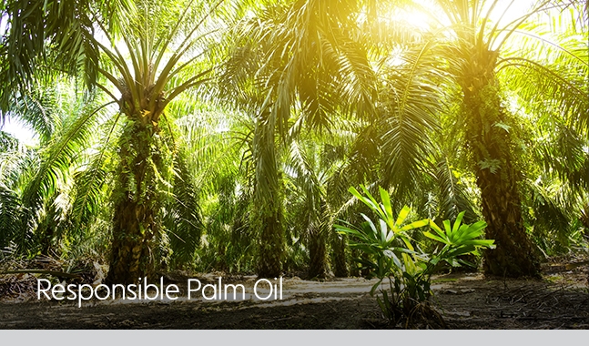 100% of the palm oil used in Waitrose & Partners food is certified sustainable by by the RSPO
