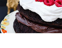 vegan chocolate mocha cake