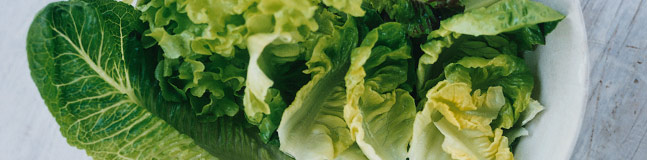 Lettuce and salad leaves